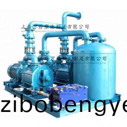 2BE203水環(huán)(huan)真空(kong)機(ji)組(zu)